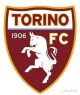 都灵